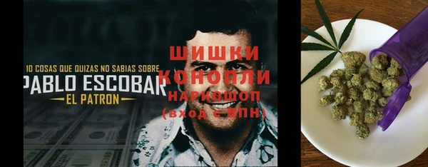 спайс Алзамай