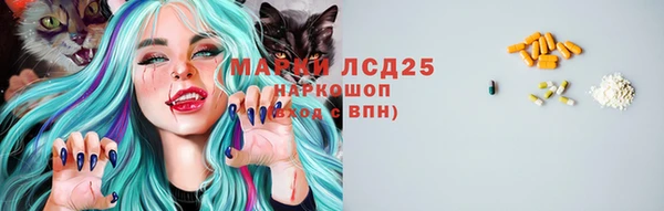 спайс Алзамай