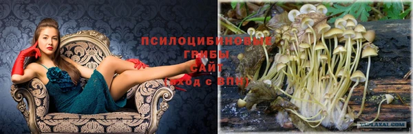 хмурый Нея
