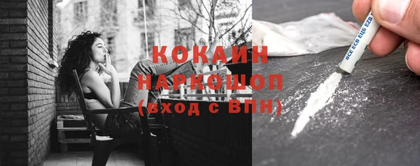 стафф Алексин