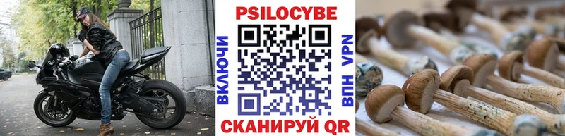 Псилоцибиновые грибы мицелий  Себеж 